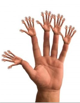 TRIZ Gecko Hands.733
